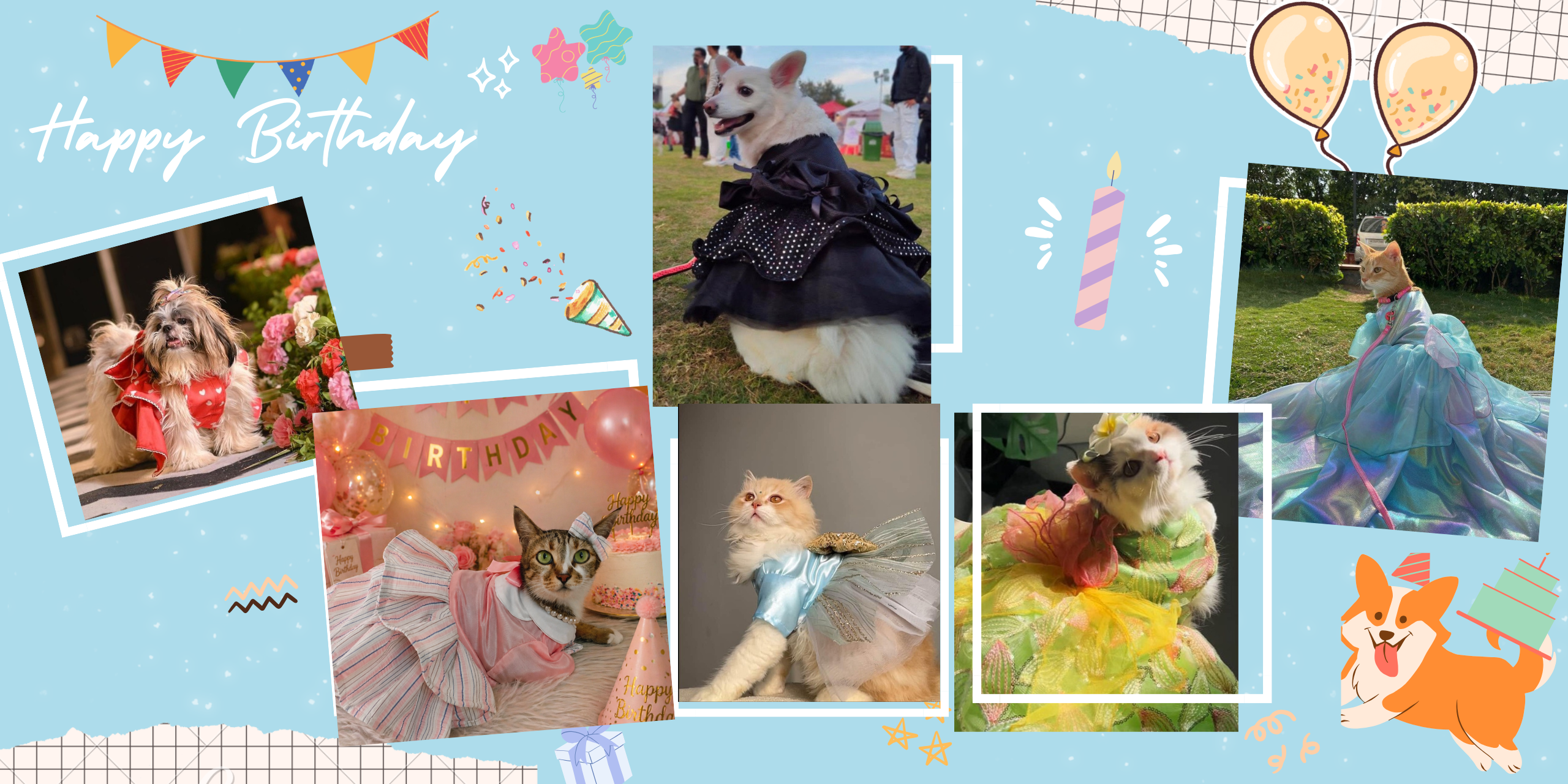 For BIRTHDAY baby..