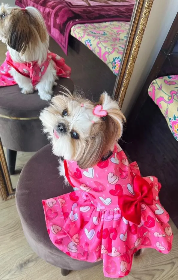 Hearts Club Two Frills Dress