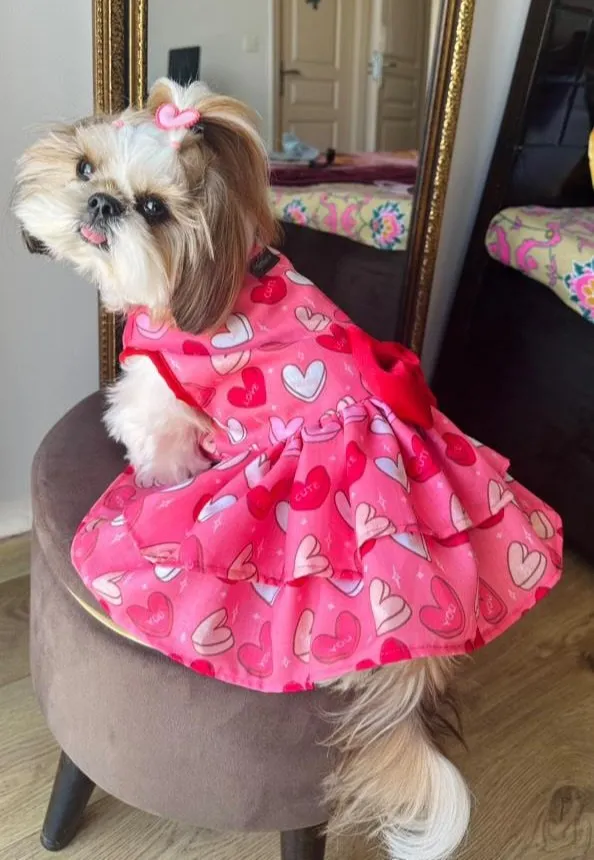 Hearts Club Two Frills Dress