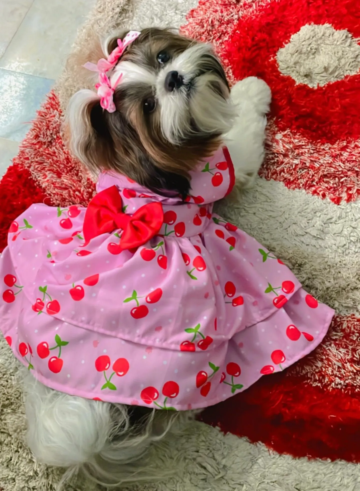 Cherry Summer Dress