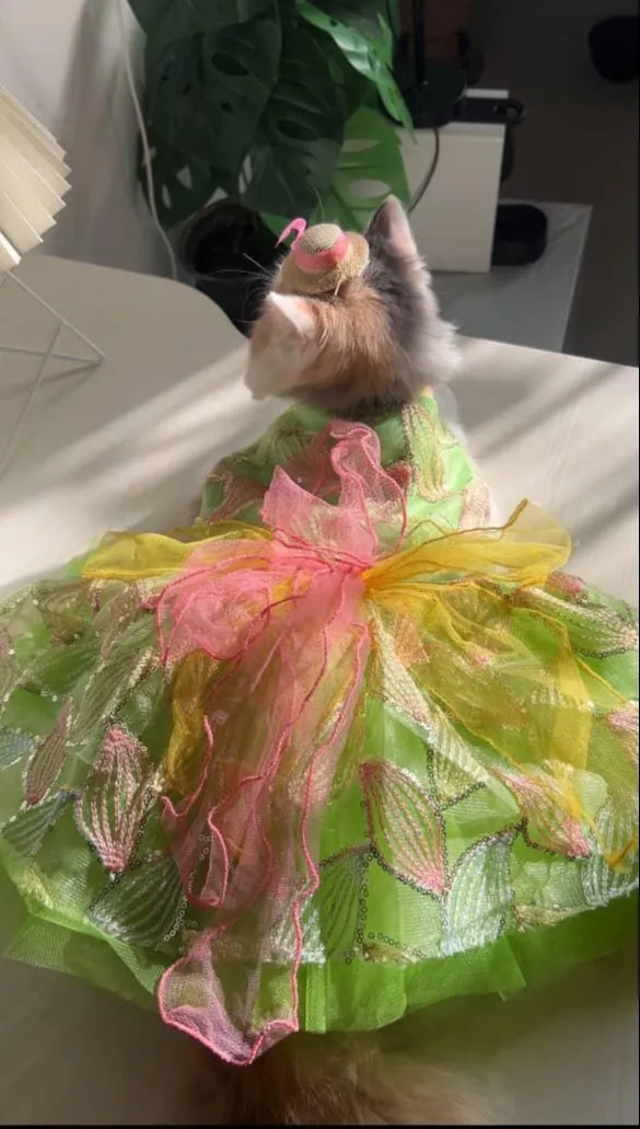 Green leaf Tinkerbell Dress