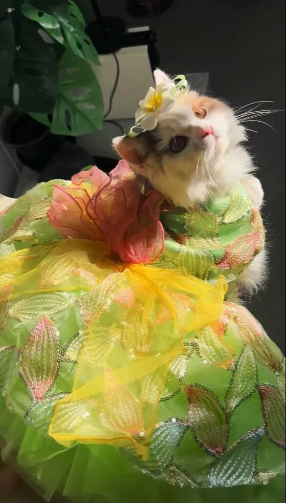Green leaf Tinkerbell Dress