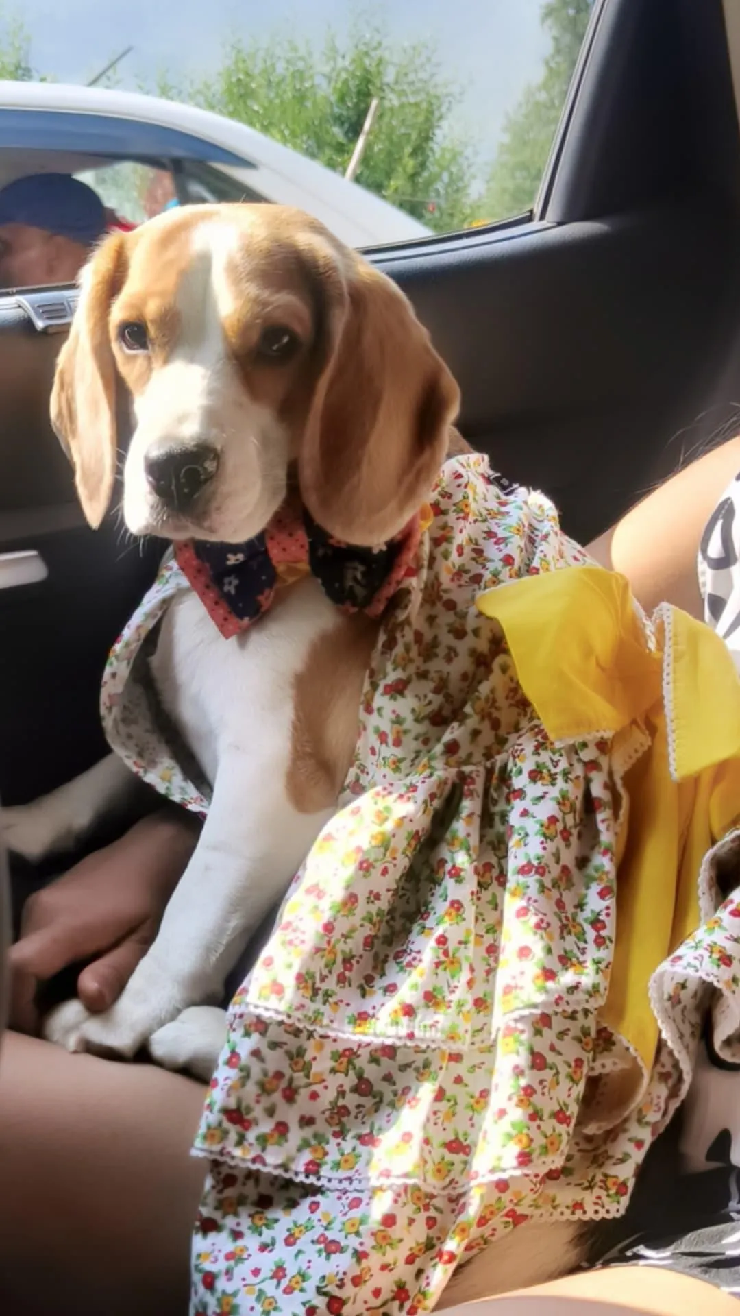 White colorful Flower Bow Dress
