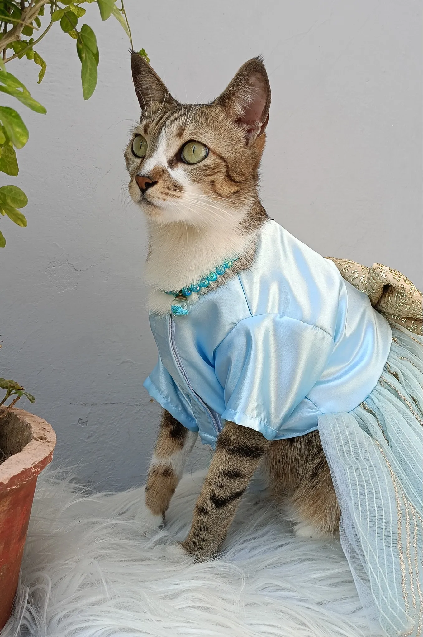 Sky Blue Glittery Dress with golden bow