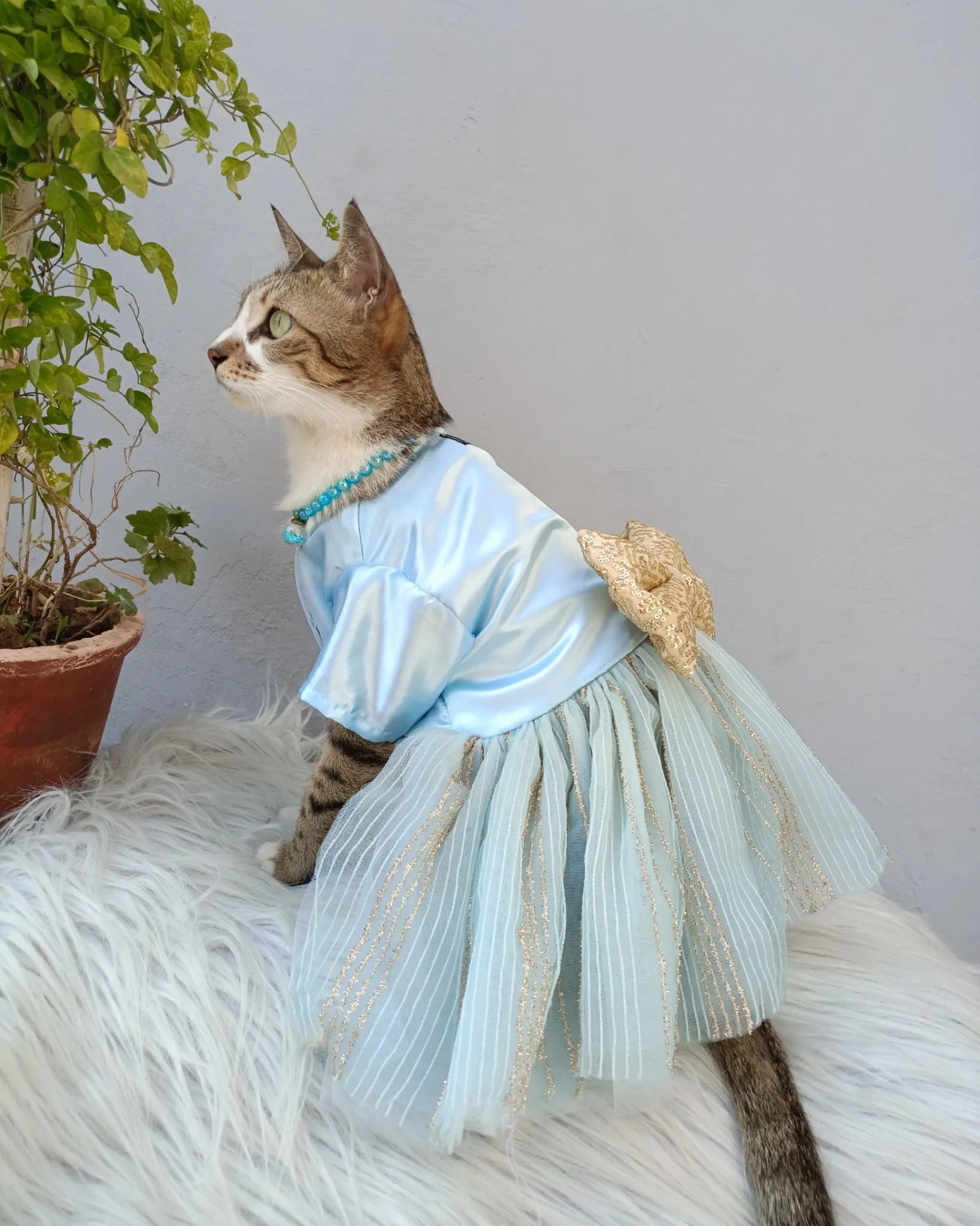 Sky Blue Glittery Dress with golden bow