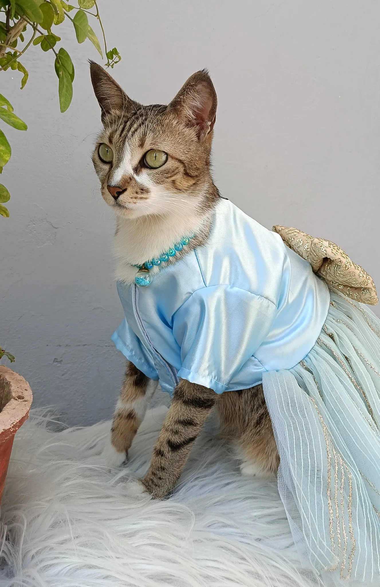 Sky Blue Glittery Dress with golden bow