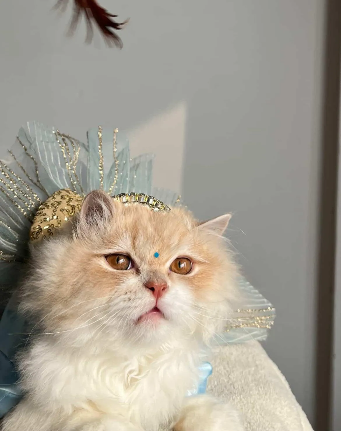 Sky Blue Glittery Dress with golden bow