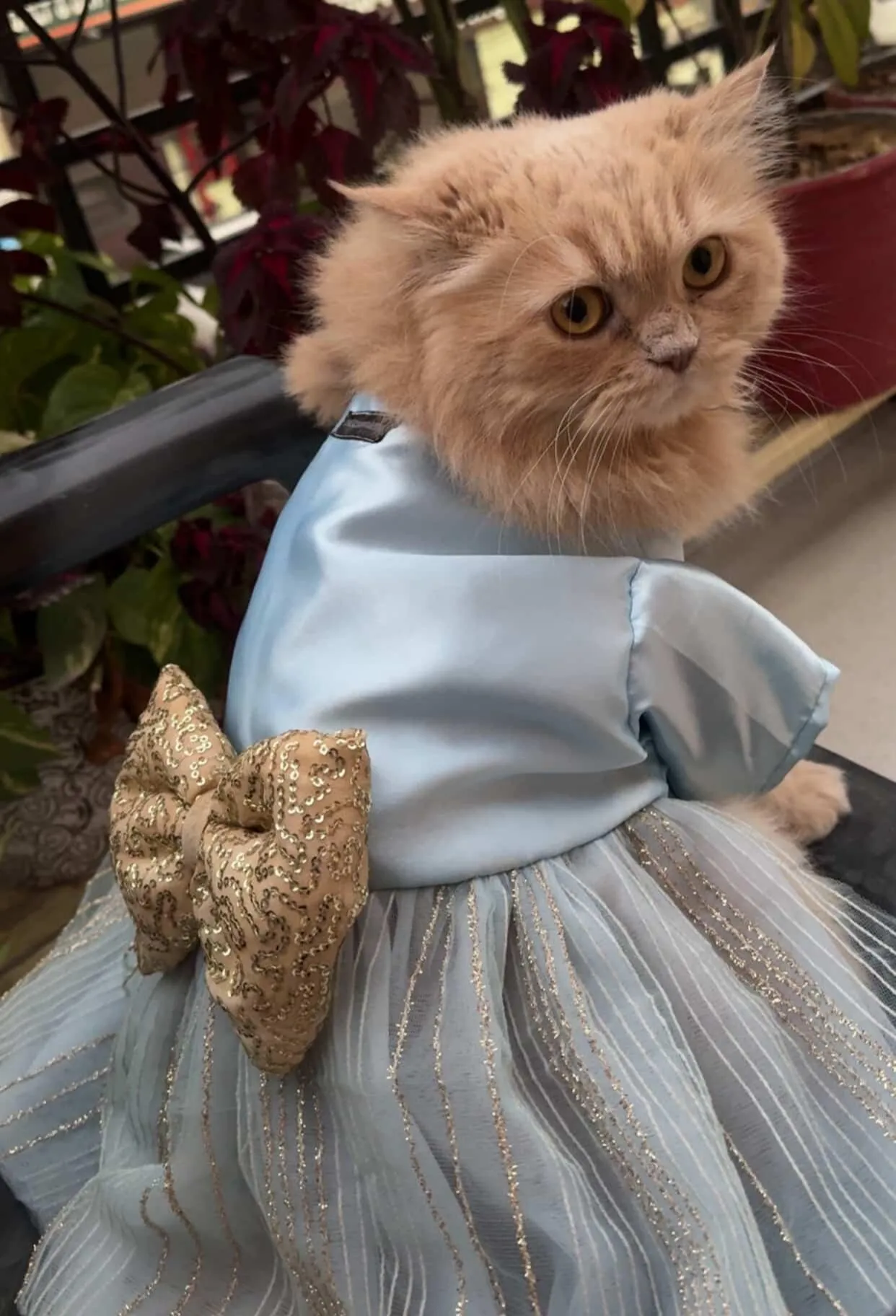 Sky Blue Glittery Dress with golden bow