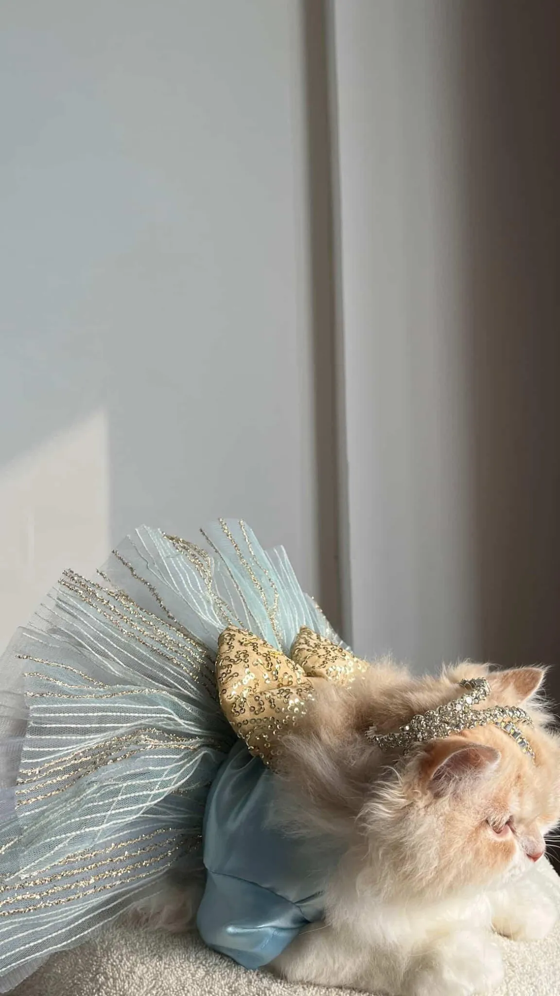 Sky Blue Glittery Dress with golden bow
