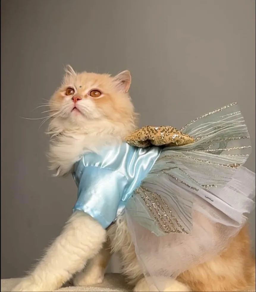 Sky Blue Glittery Dress with golden bow