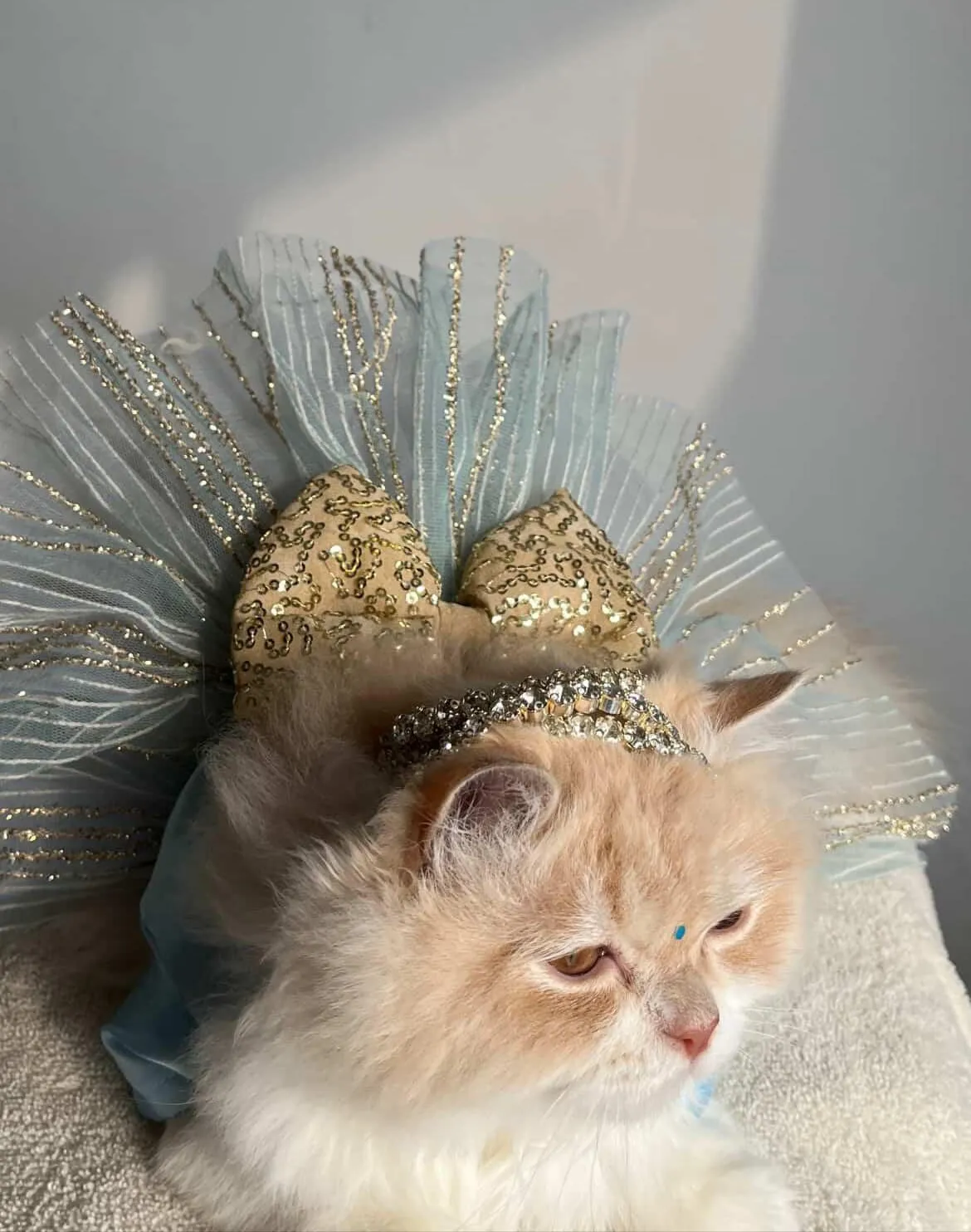 Sky Blue Glittery Dress with golden bow