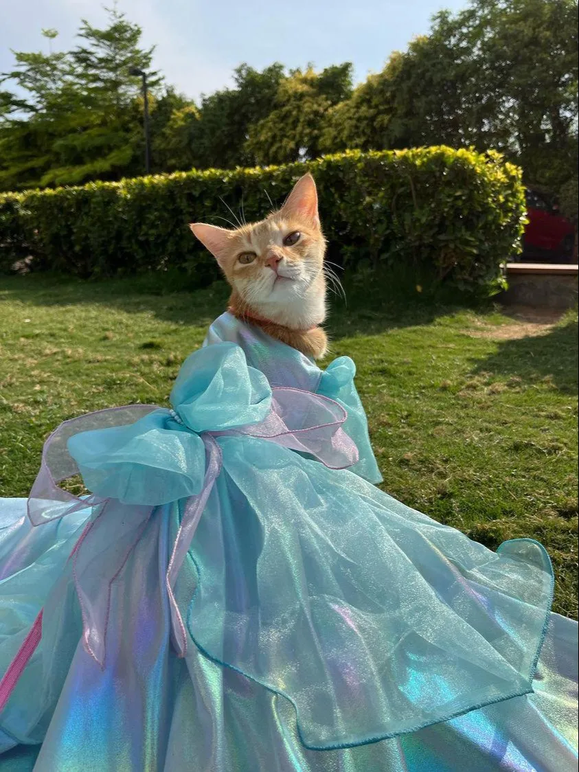 Snow Princess Organza dress