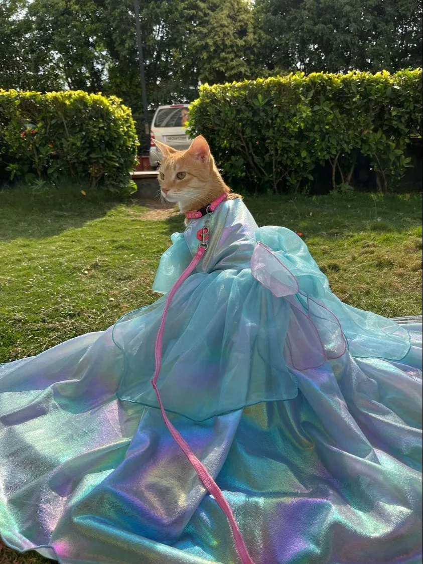 Snow Princess Organza dress