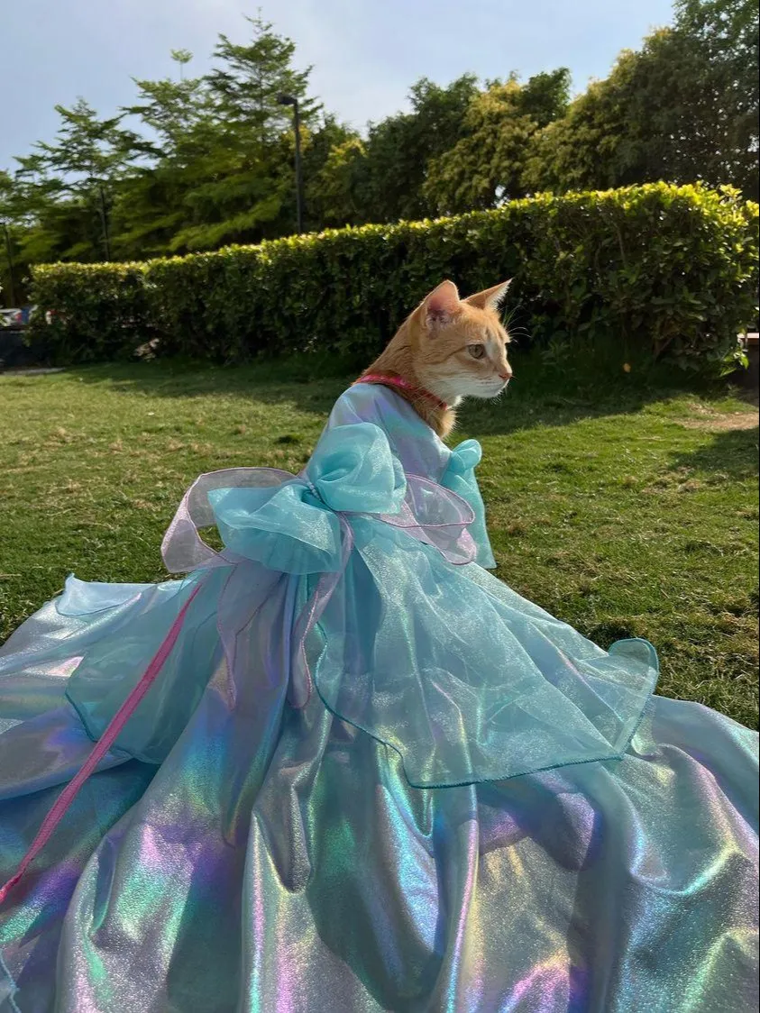 Snow Princess Organza dress