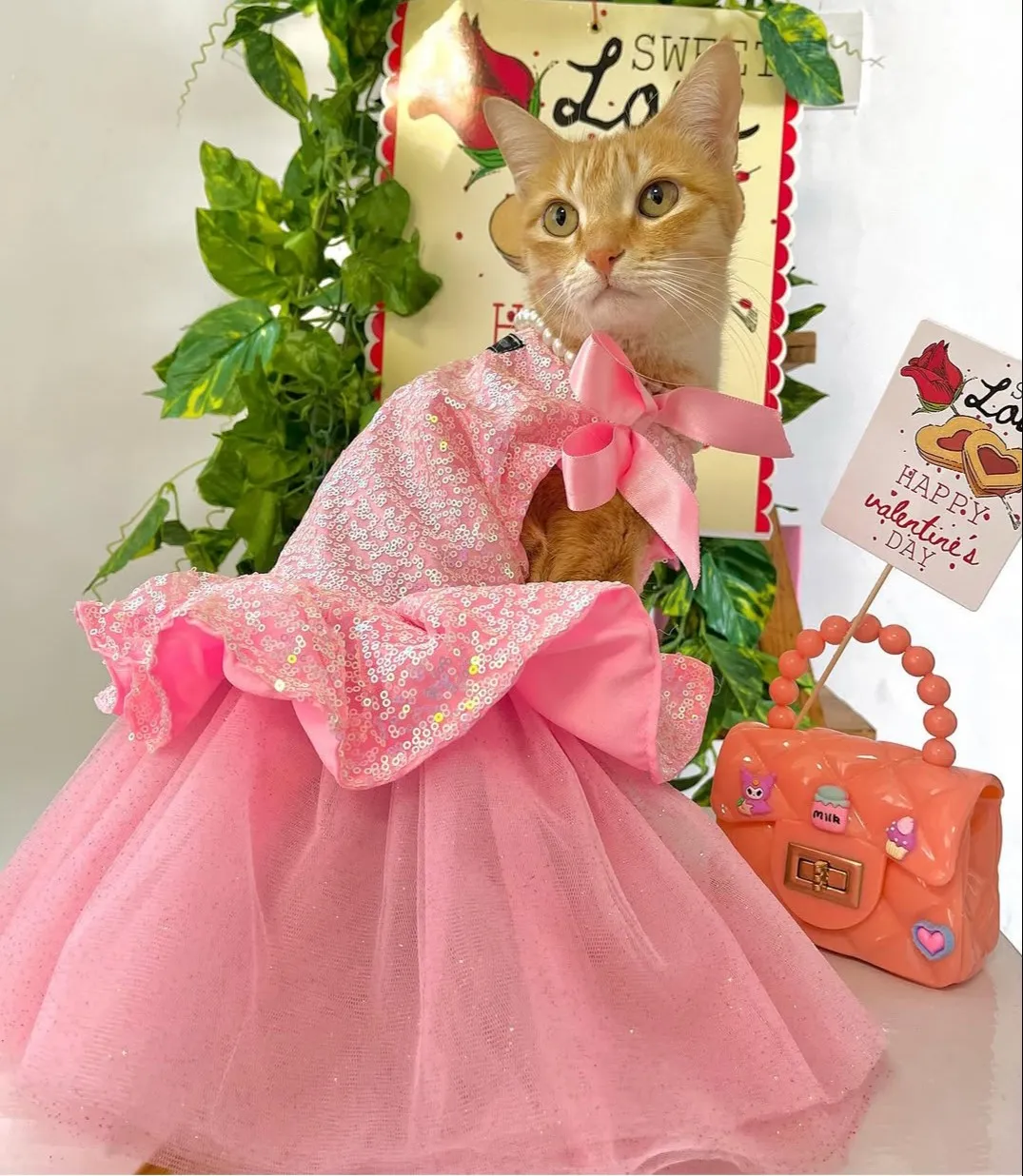 Pink Glittery birthday dress