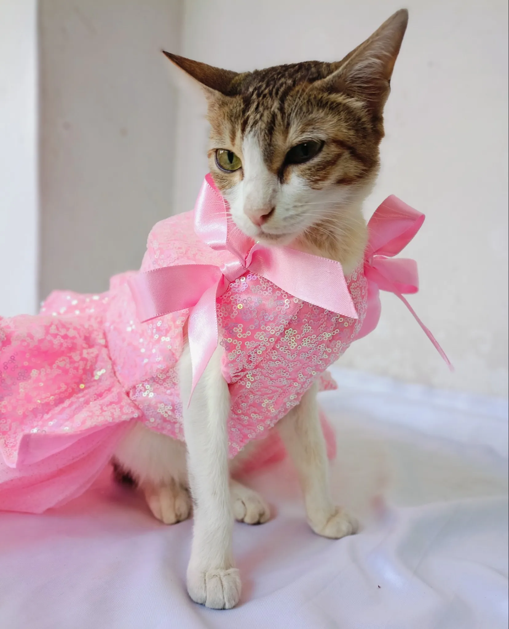 Pink Glittery birthday dress