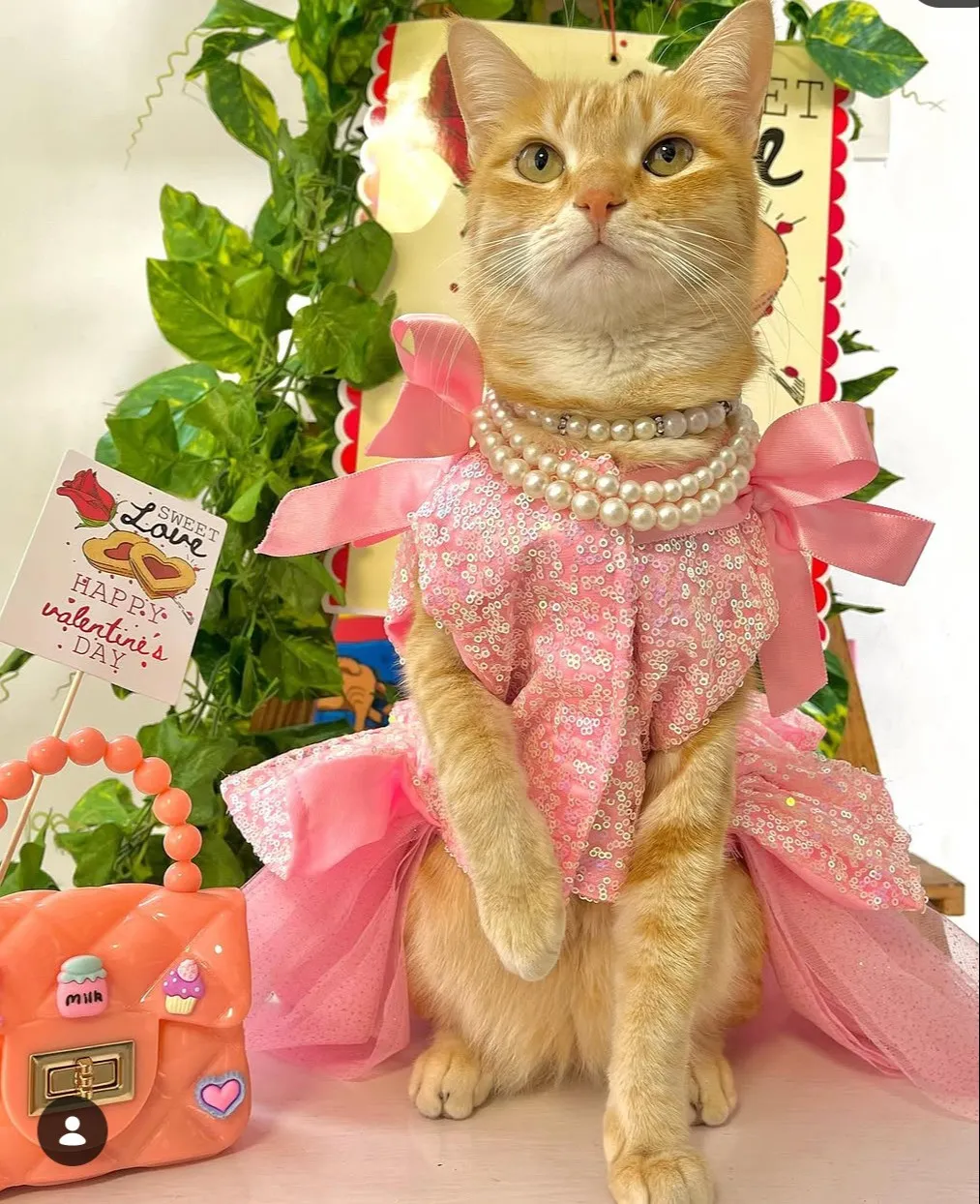 Pink Glittery birthday dress