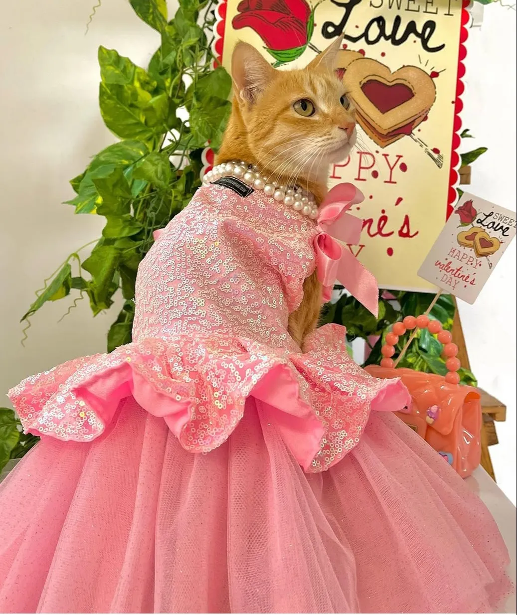 Pink Glittery birthday dress