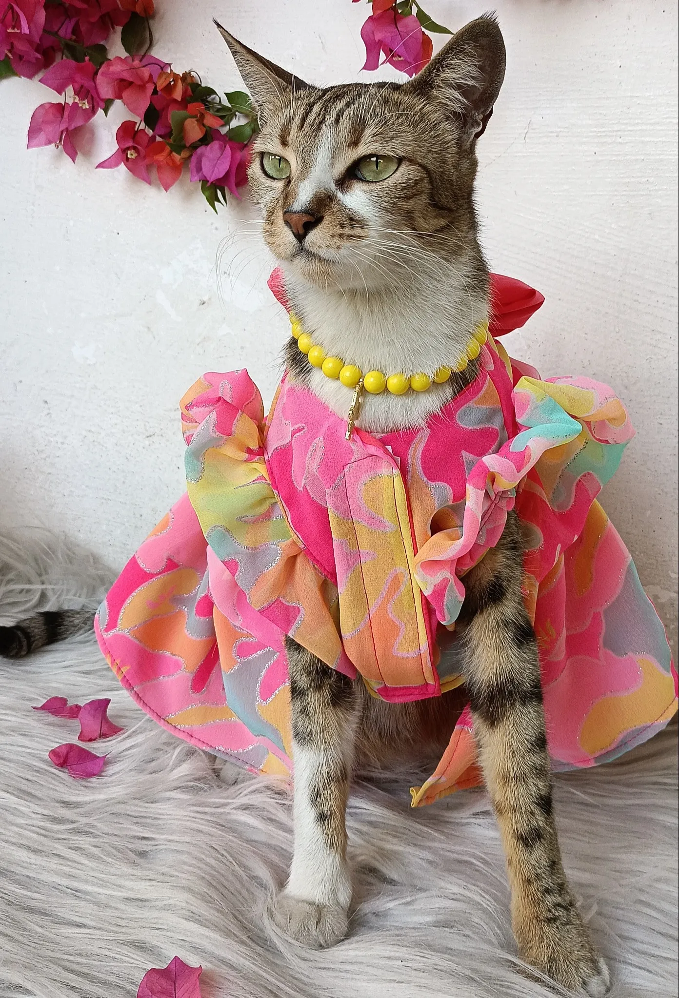 Rainbow Shaded Pink Dress