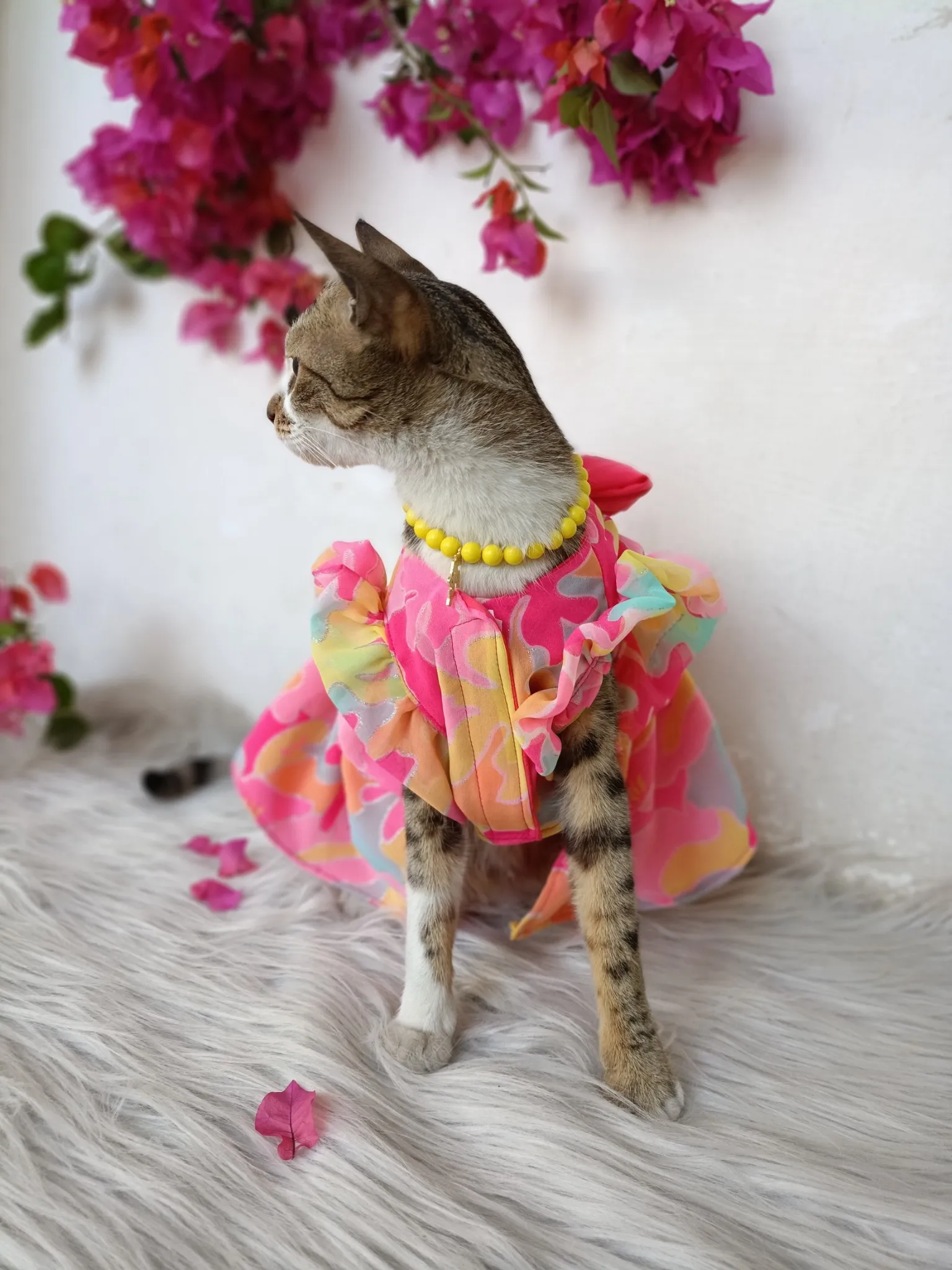 Rainbow Shaded Pink Dress