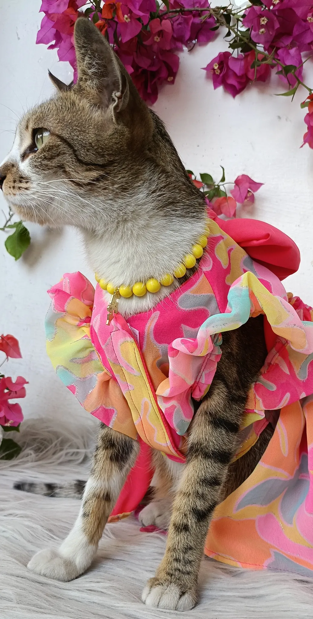 Rainbow Shaded Pink Dress