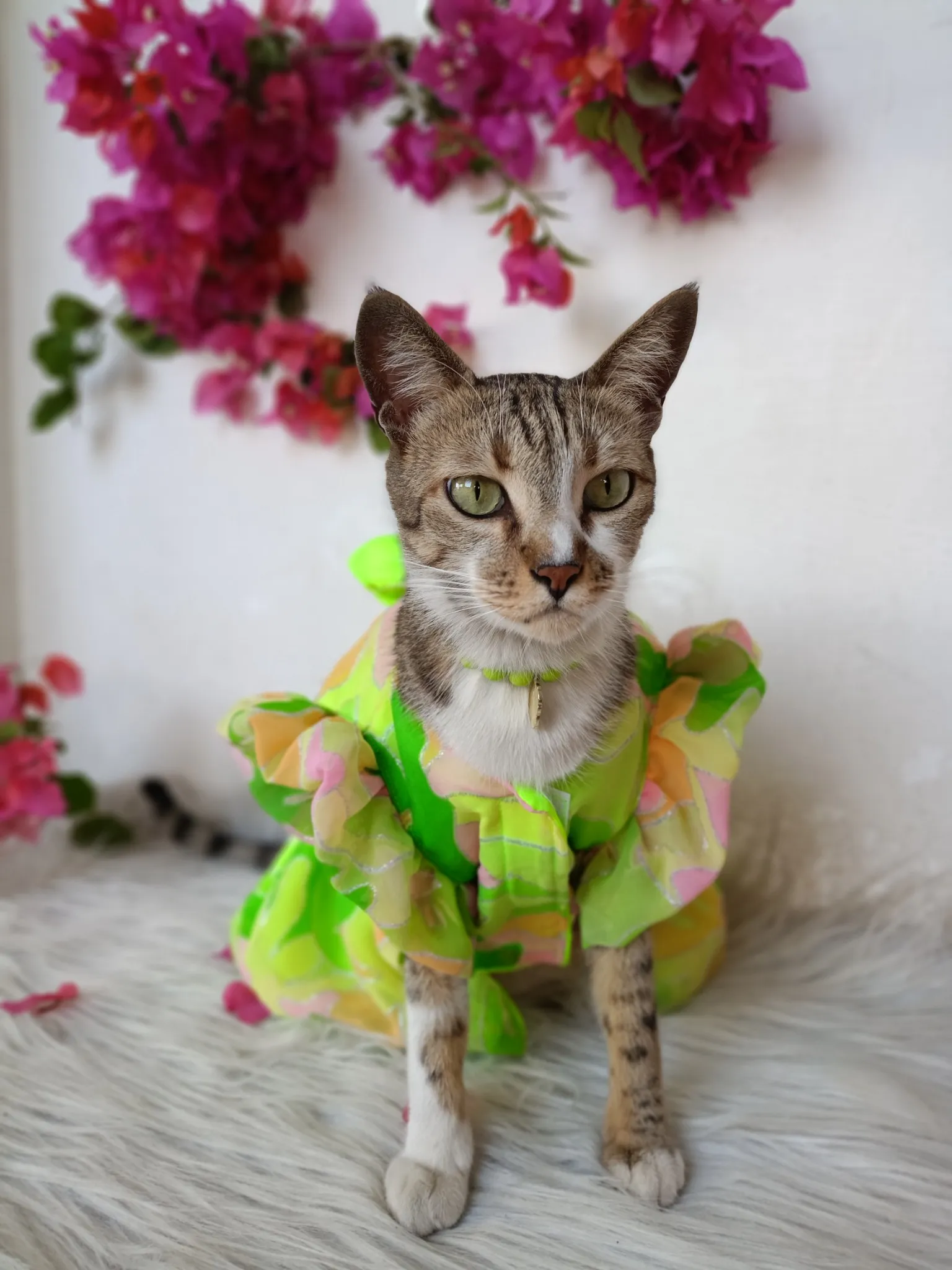 Rainbow Shaded Neon Green Dress