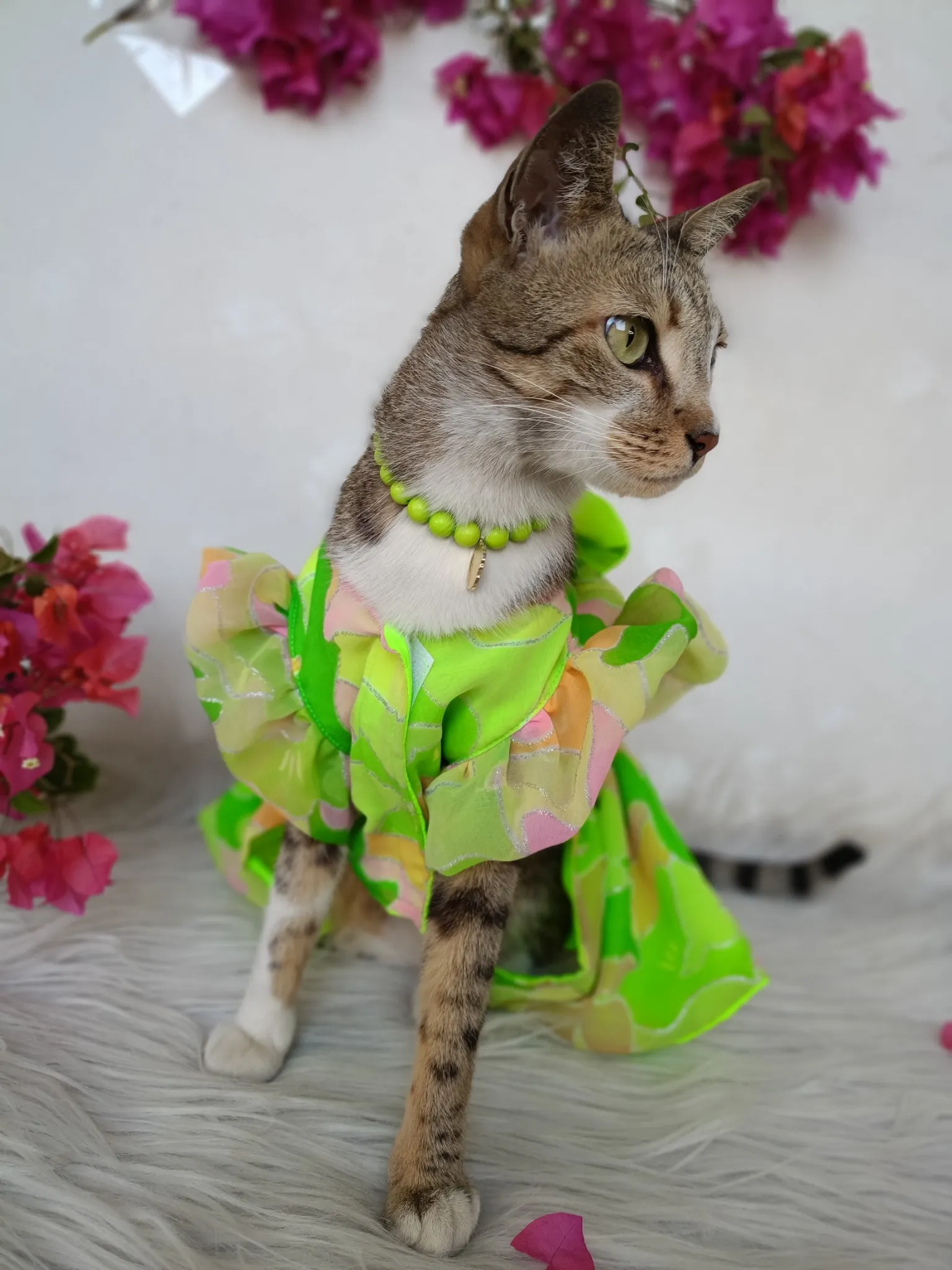 Rainbow Shaded Neon Green Dress