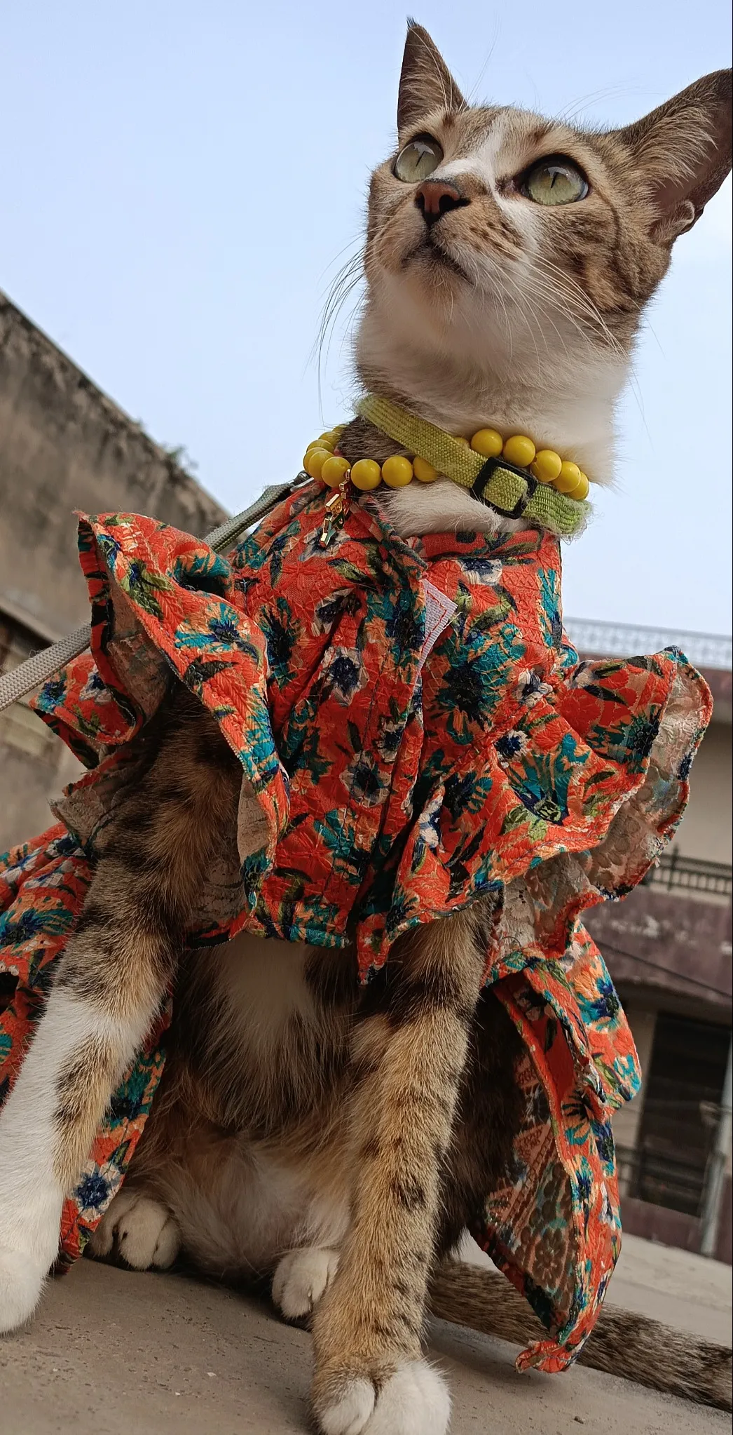Orange Floral Chikankari Summer Dress
