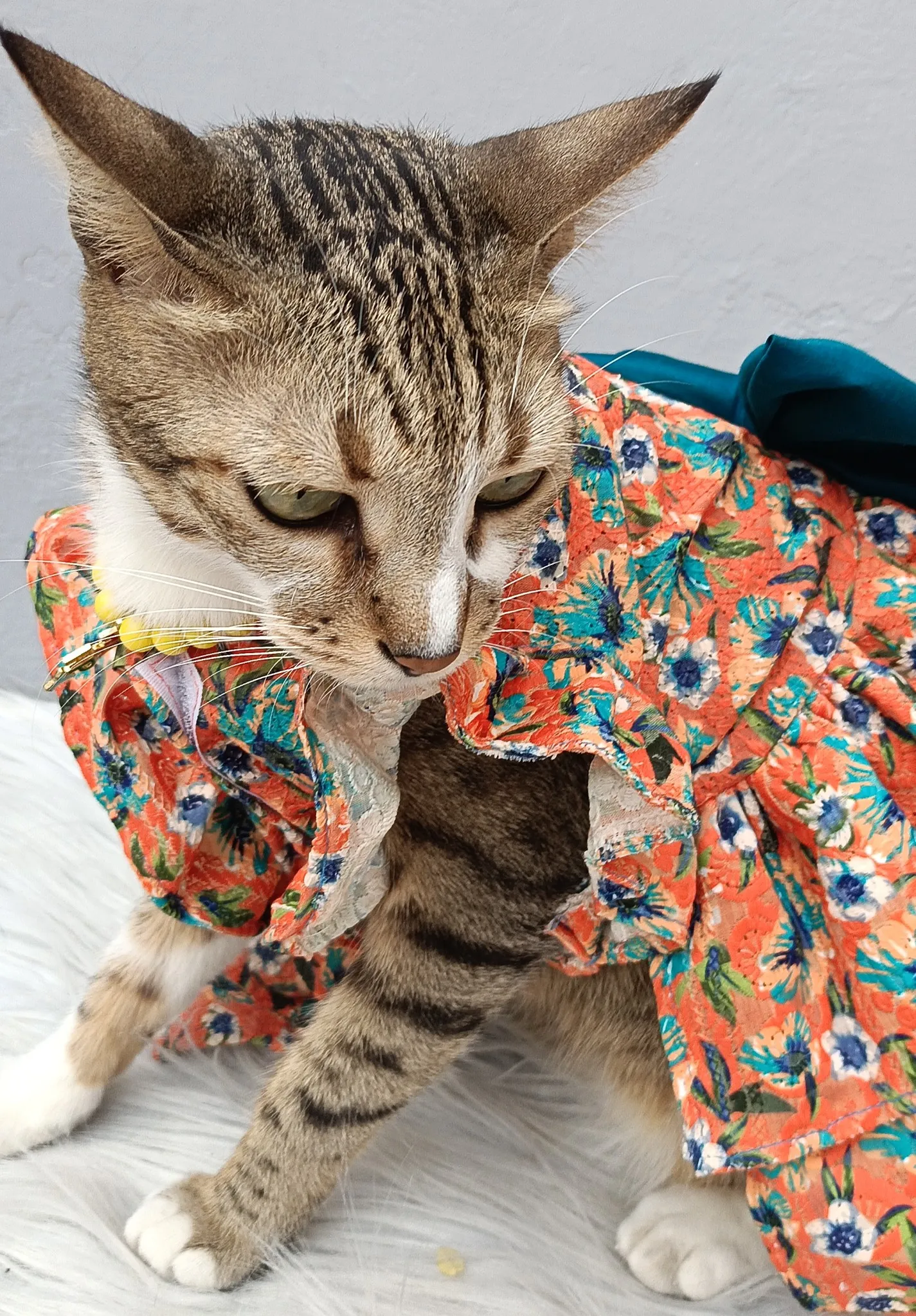 Orange Floral Chikankari Summer Dress