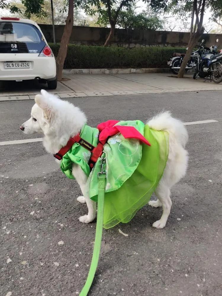Neon Green Sequin Flower with Pink Bow Dress