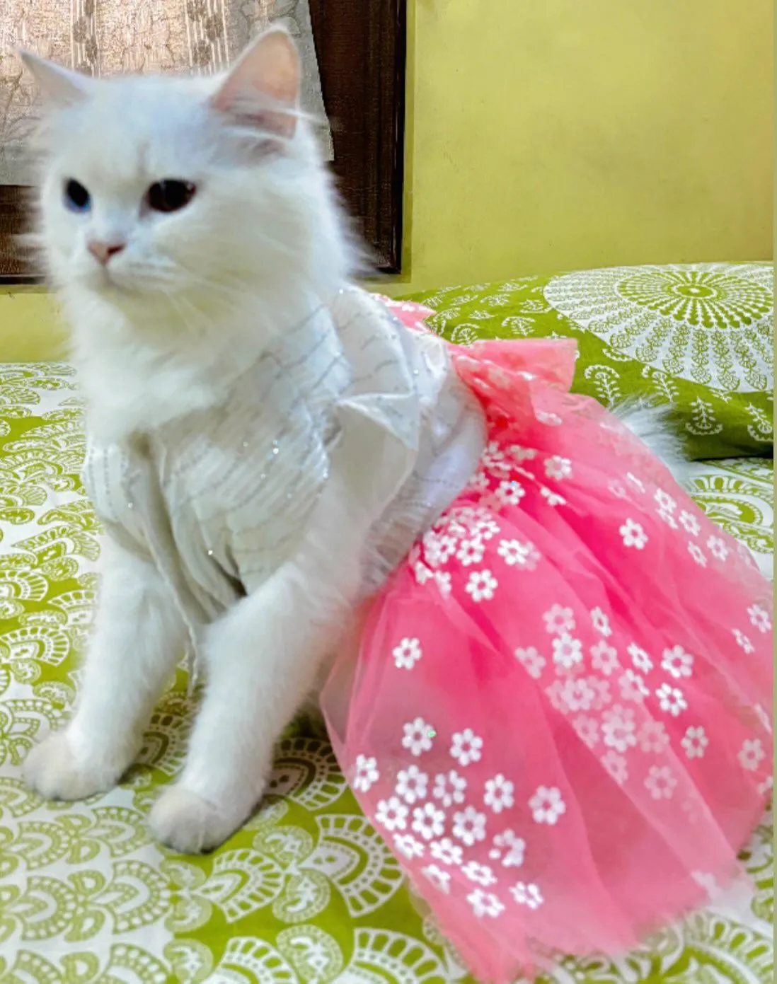 White Stones with Daisy flower net Dress