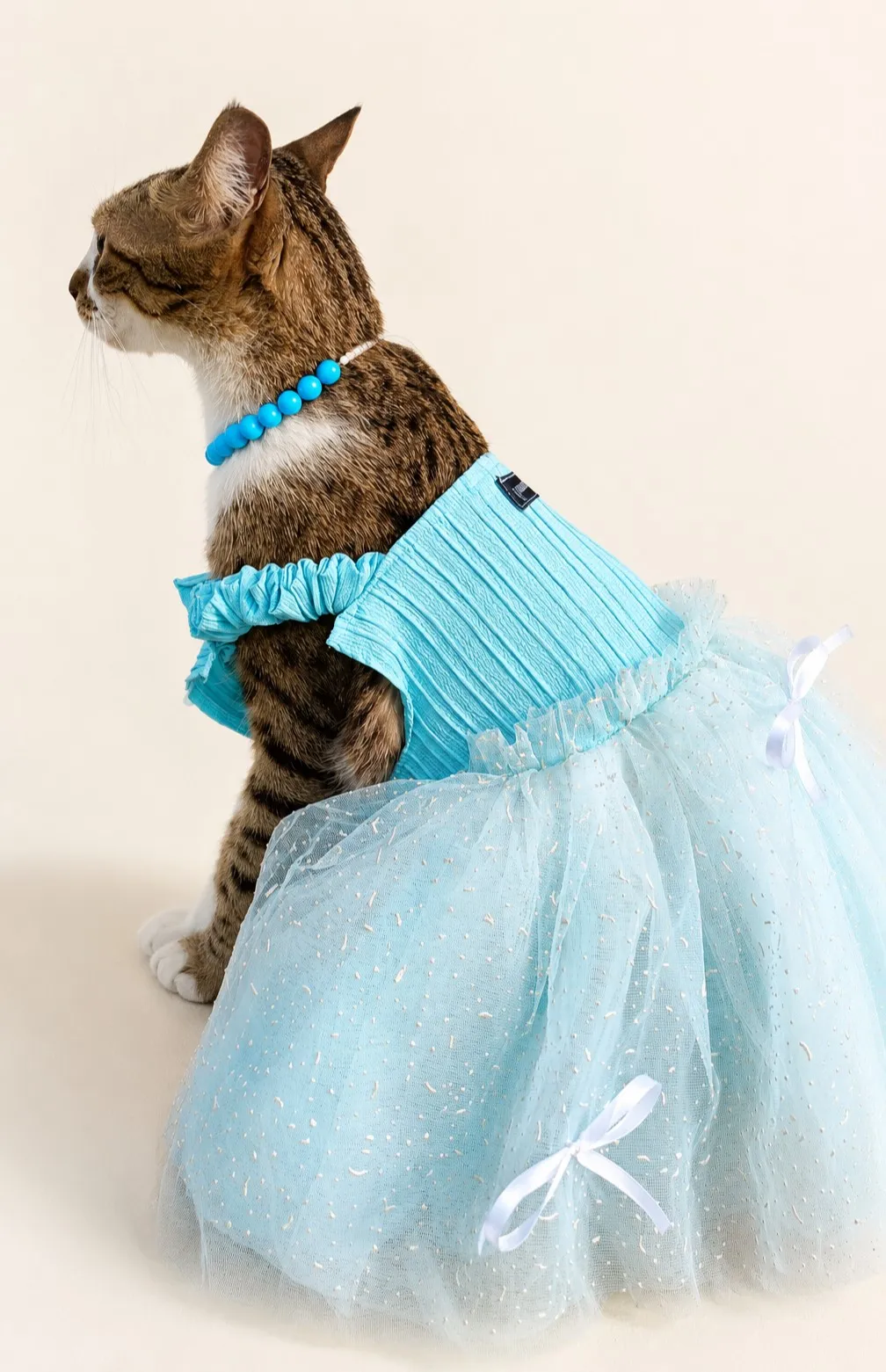 Blue Pinteresty bow Dress