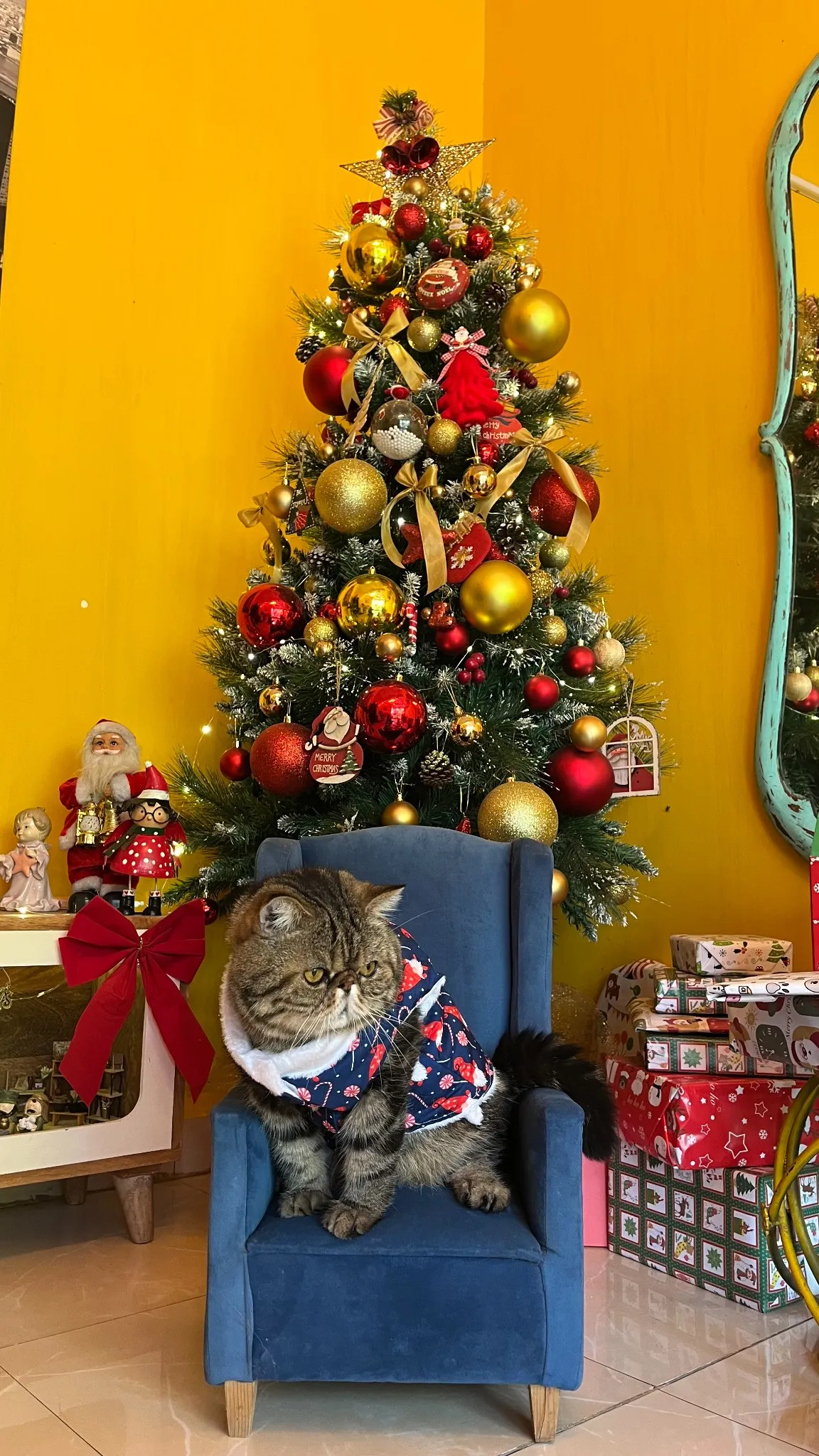 Christmas Gnomes and Candy Jacket