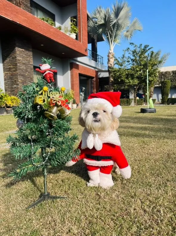 Santa Costume with Cap