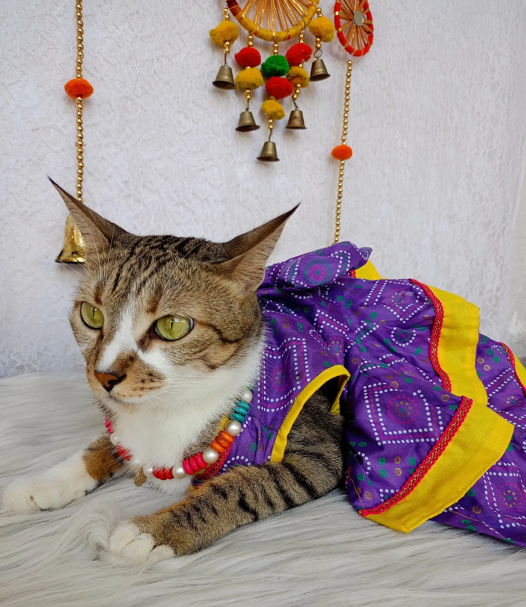 Purple with yellow border Bandhni Traditional Dress