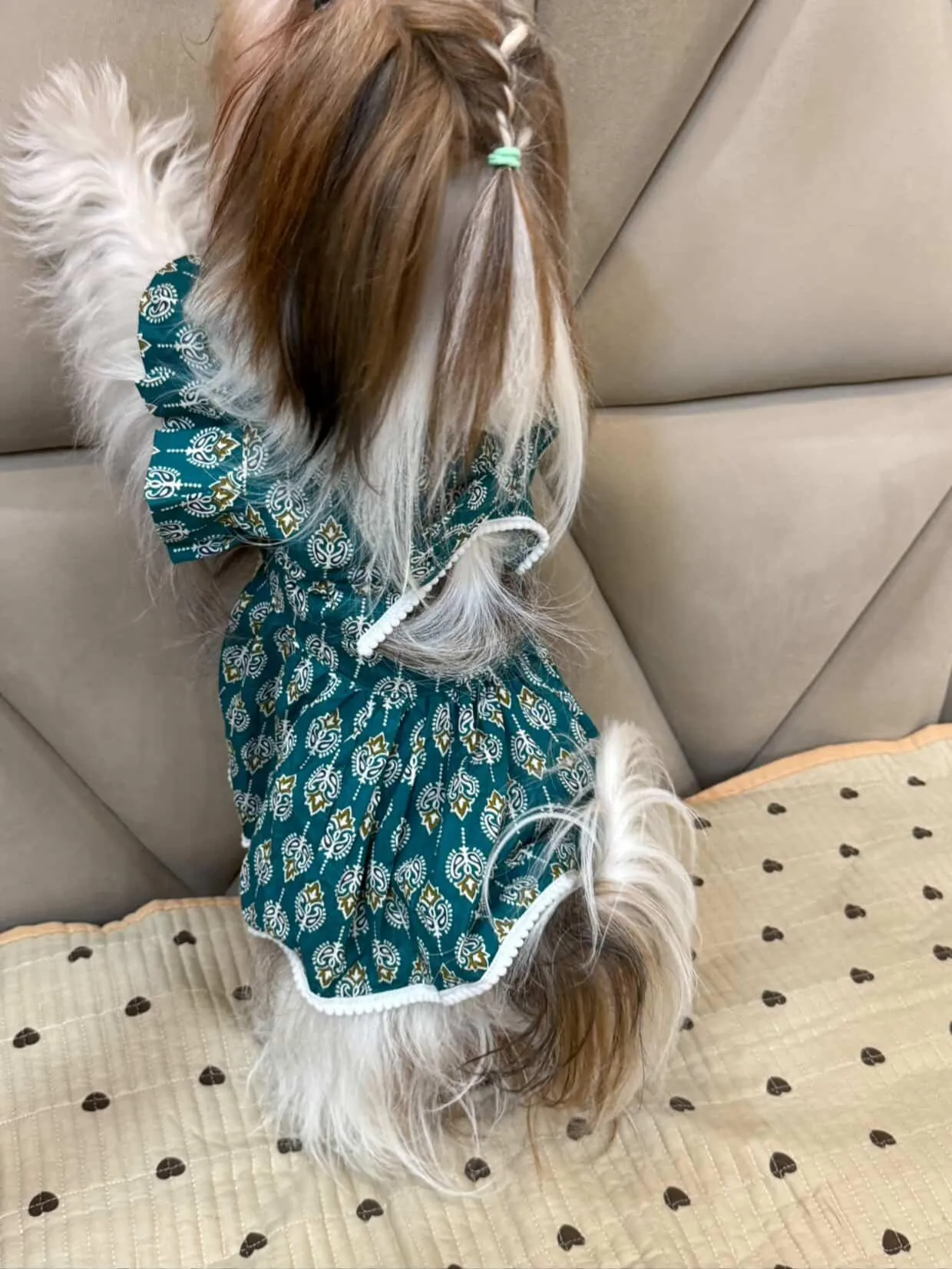 Green back cutout with Bow Ethnic cotton Dress