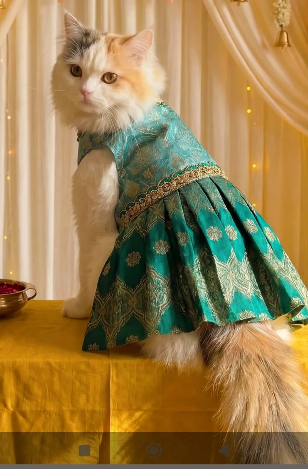 Blue with Green contrast frills Occasion wear Dress