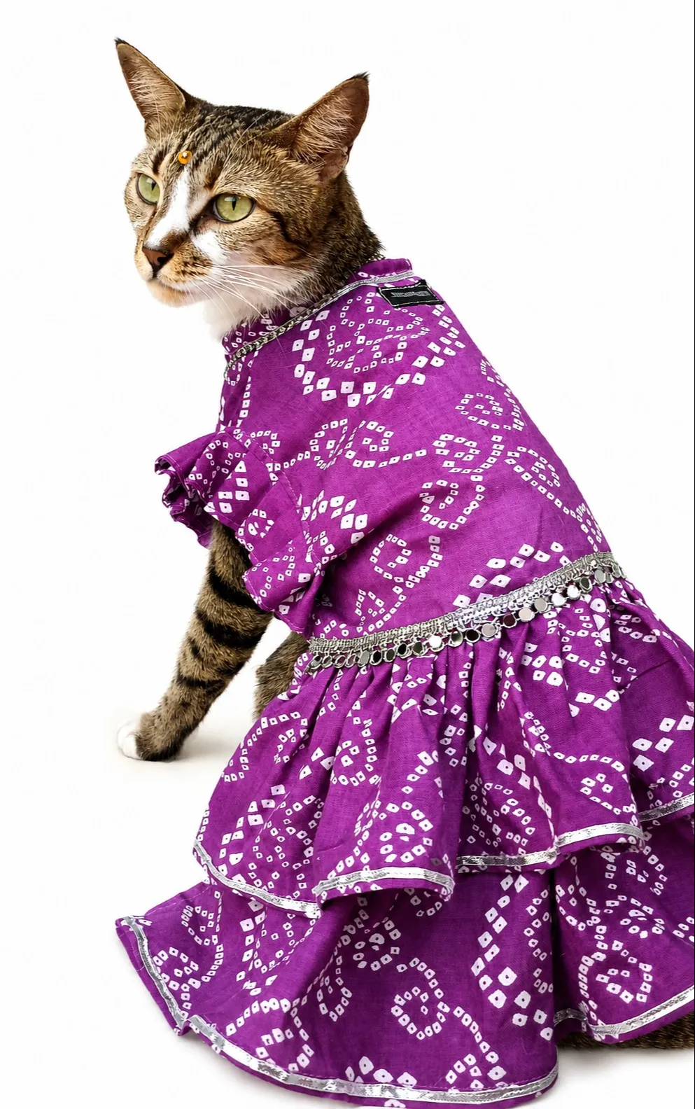 Purple Bandhni Occasion wear Dress