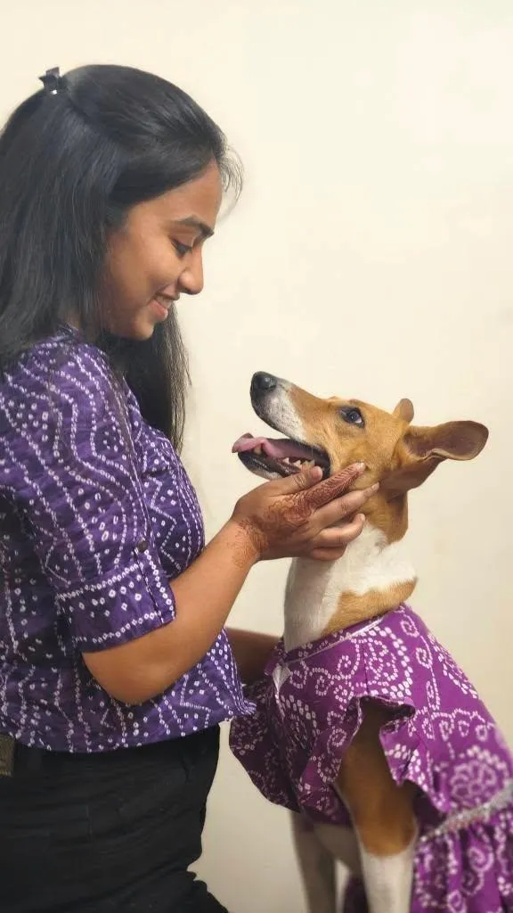 Purple Bandhni Occasion wear Dress