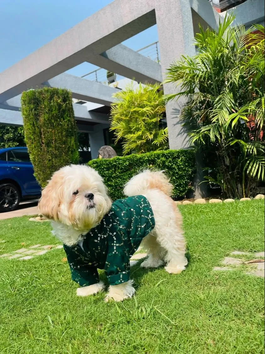 Dark Green Sequin Traditional Kurta