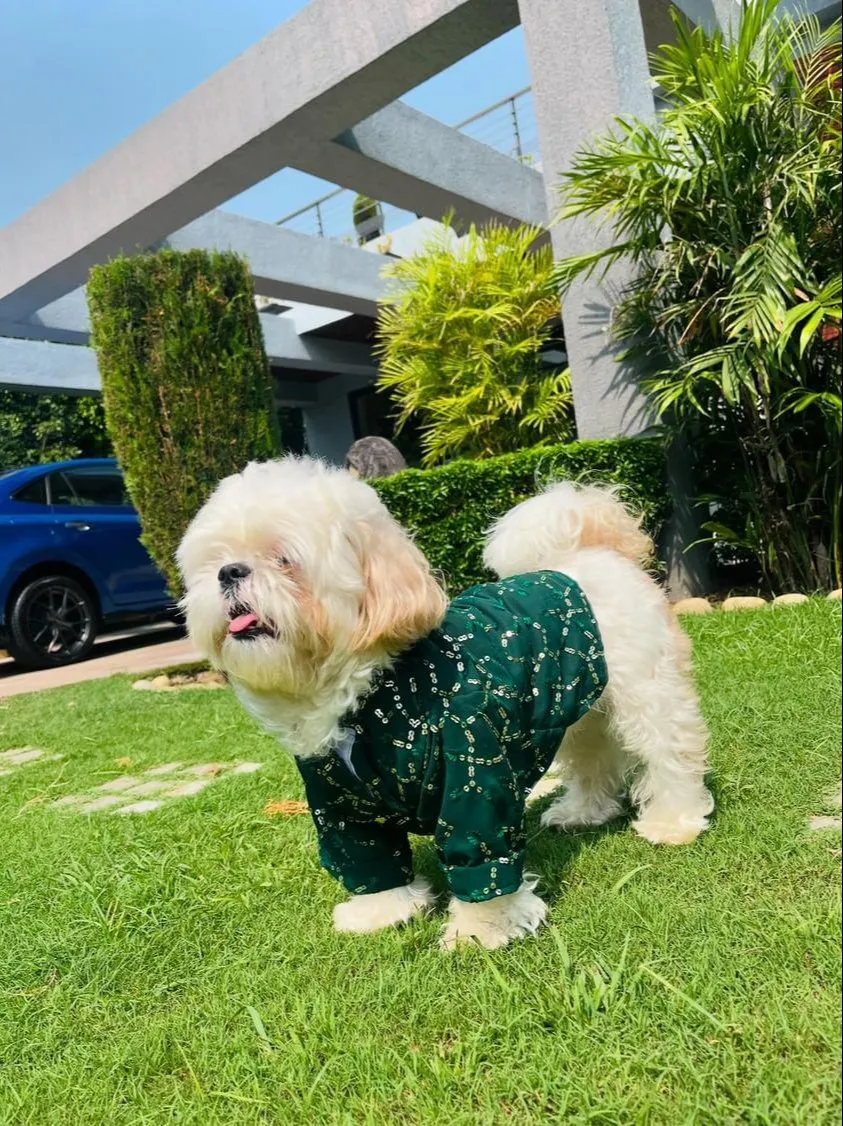 Dark Green Sequin Traditional Kurta