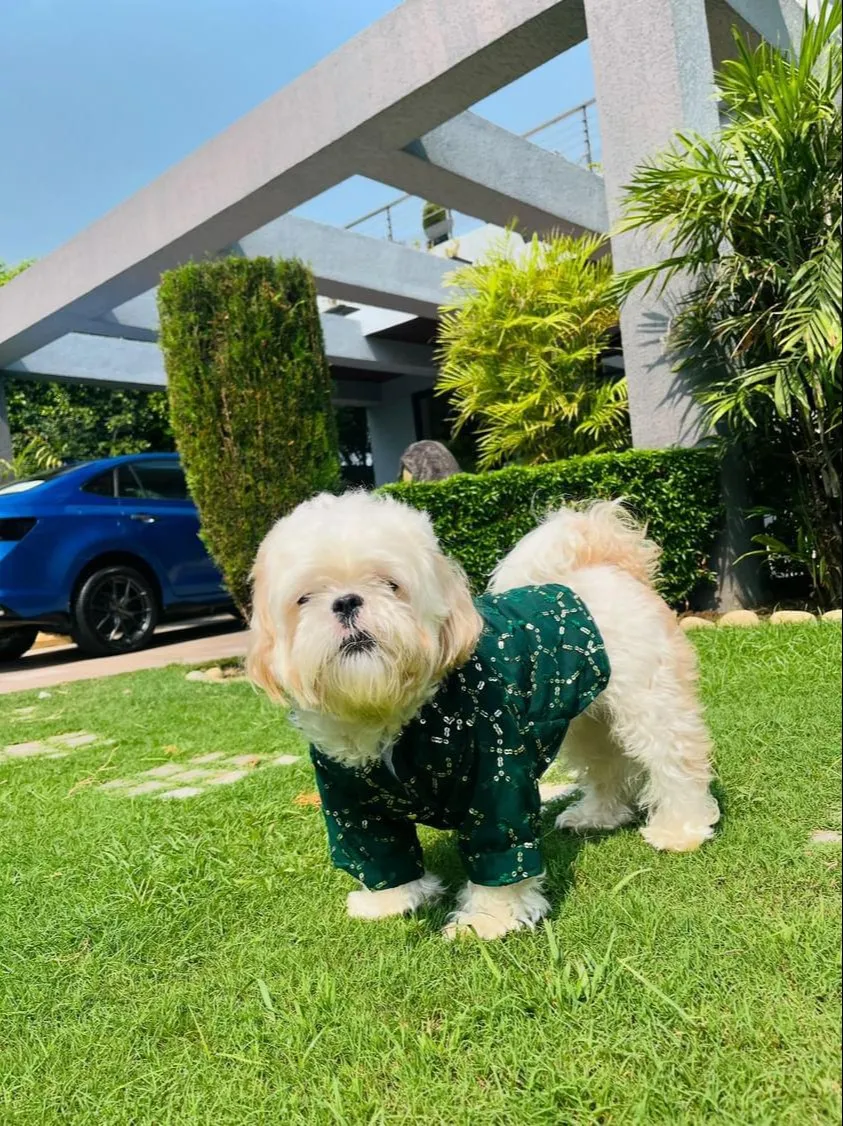 Dark Green Sequin Traditional Kurta