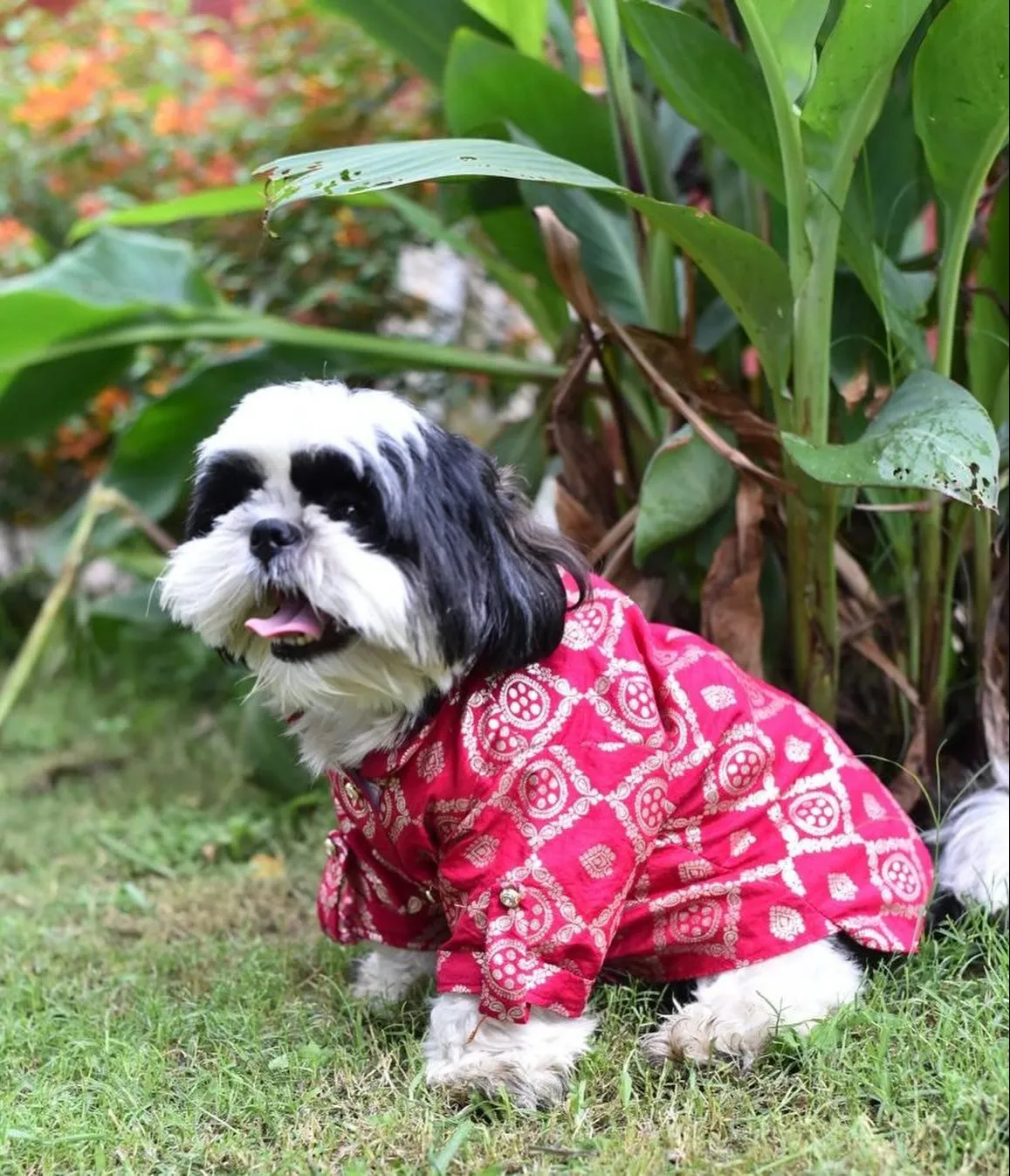 Frusia Pink Brocade Traditional Kurta