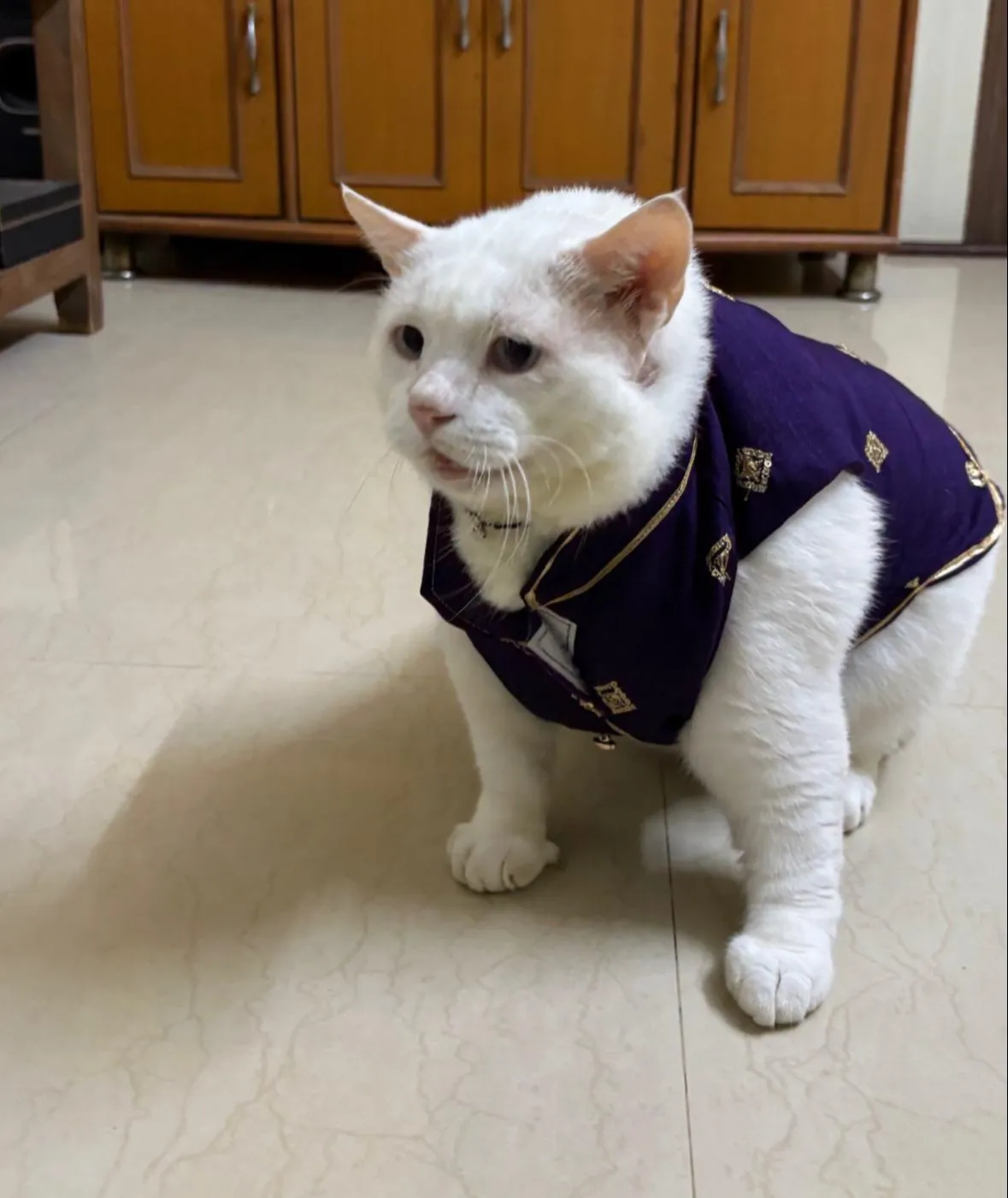 Voilet Sherwani