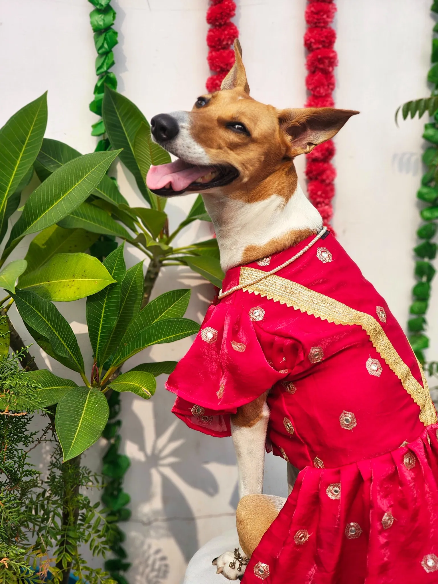 Rose Pink gotta and mirror work traditional dress