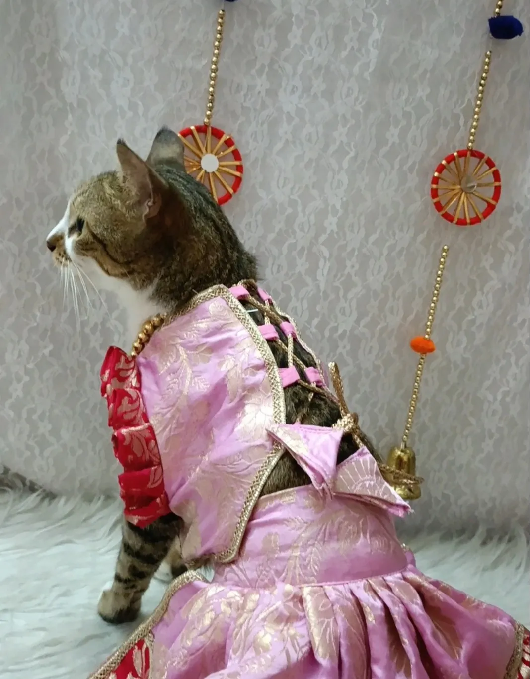 Rose Pink two color Lehenga choli
