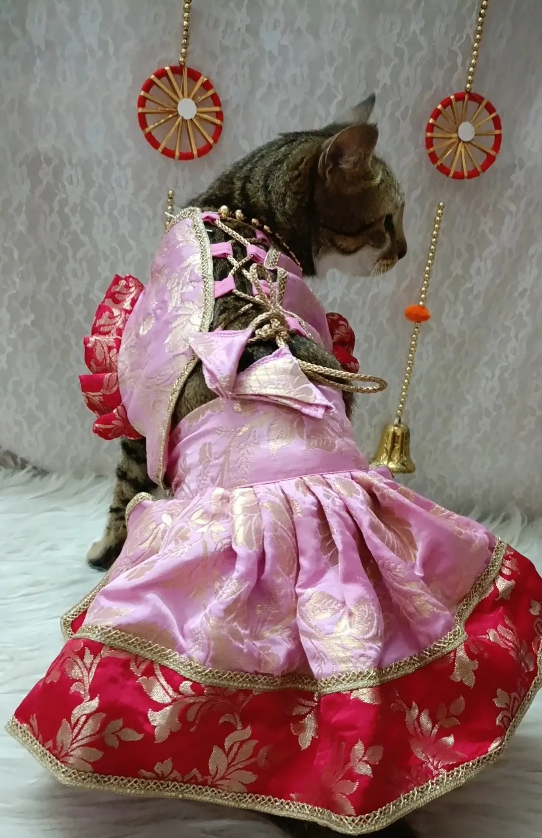 Rose Pink two color Lehenga choli