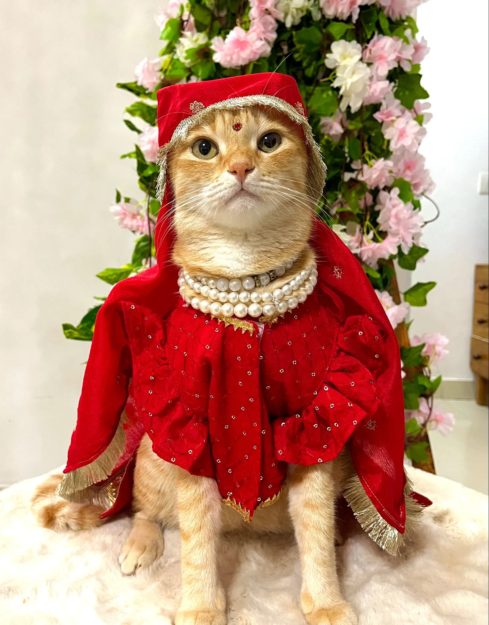 Red zari lehenga choli with Dupatta