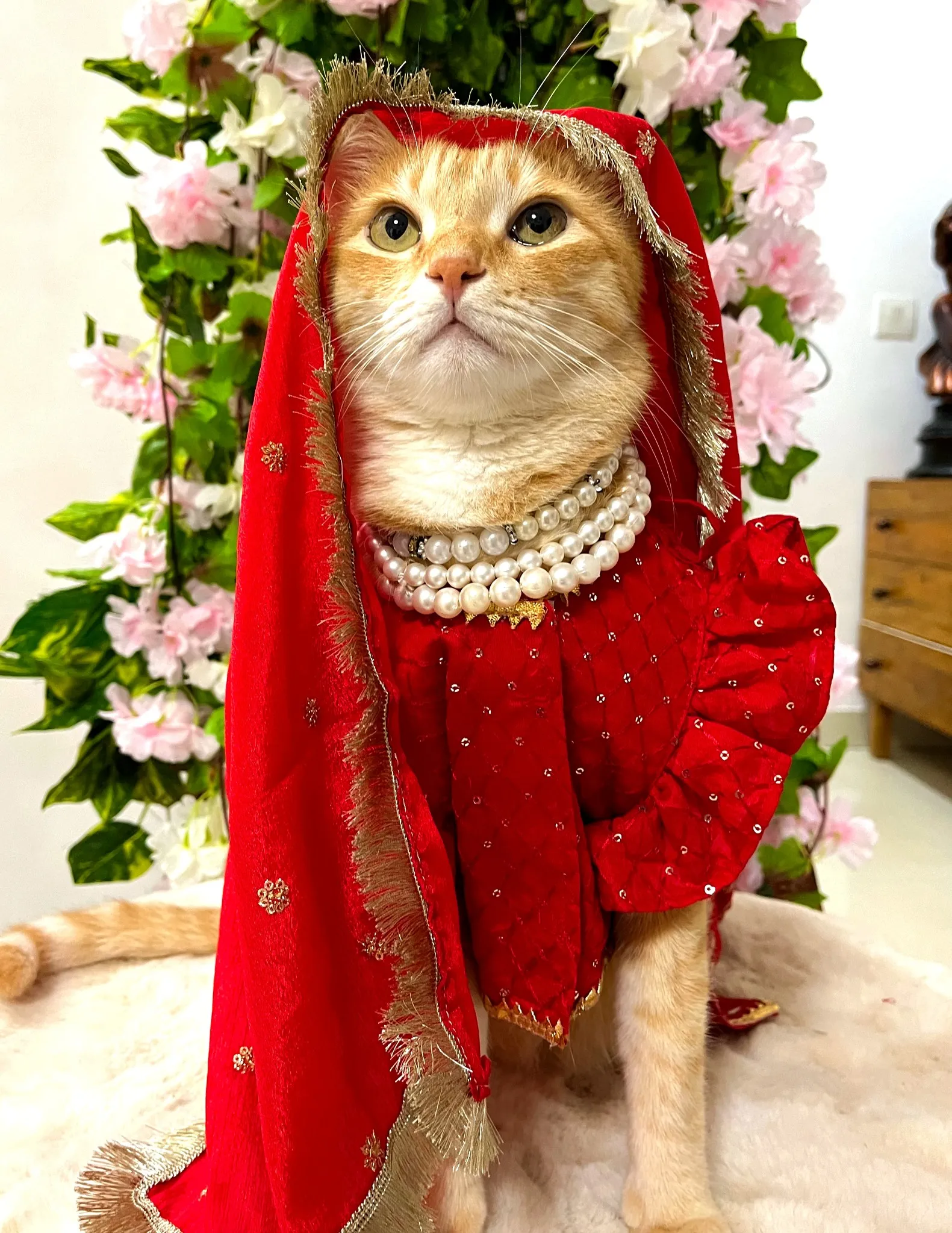 Red zari lehenga choli with Dupatta