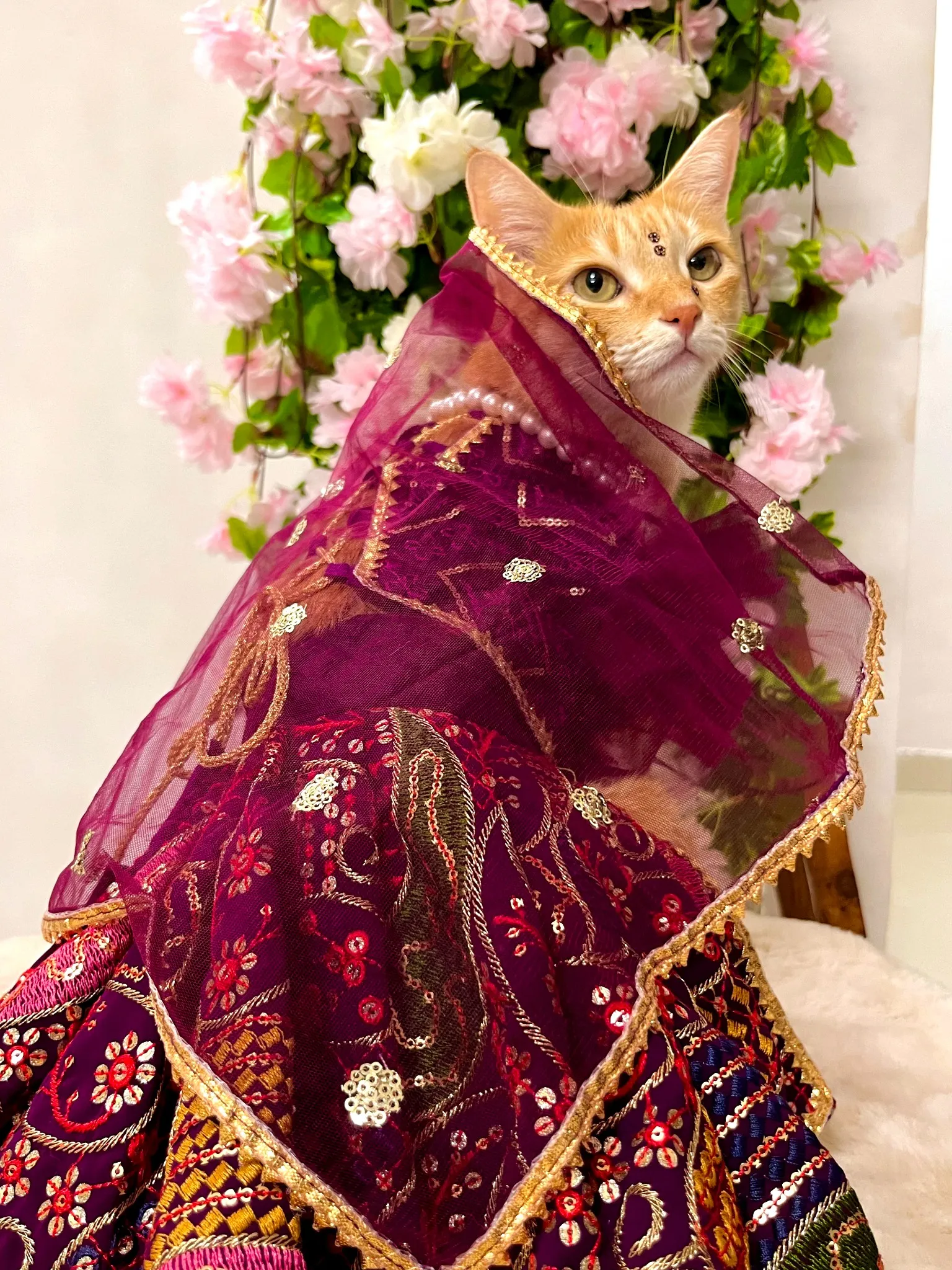 Wine color Heavy work embroidered lehenga choli with dupatta